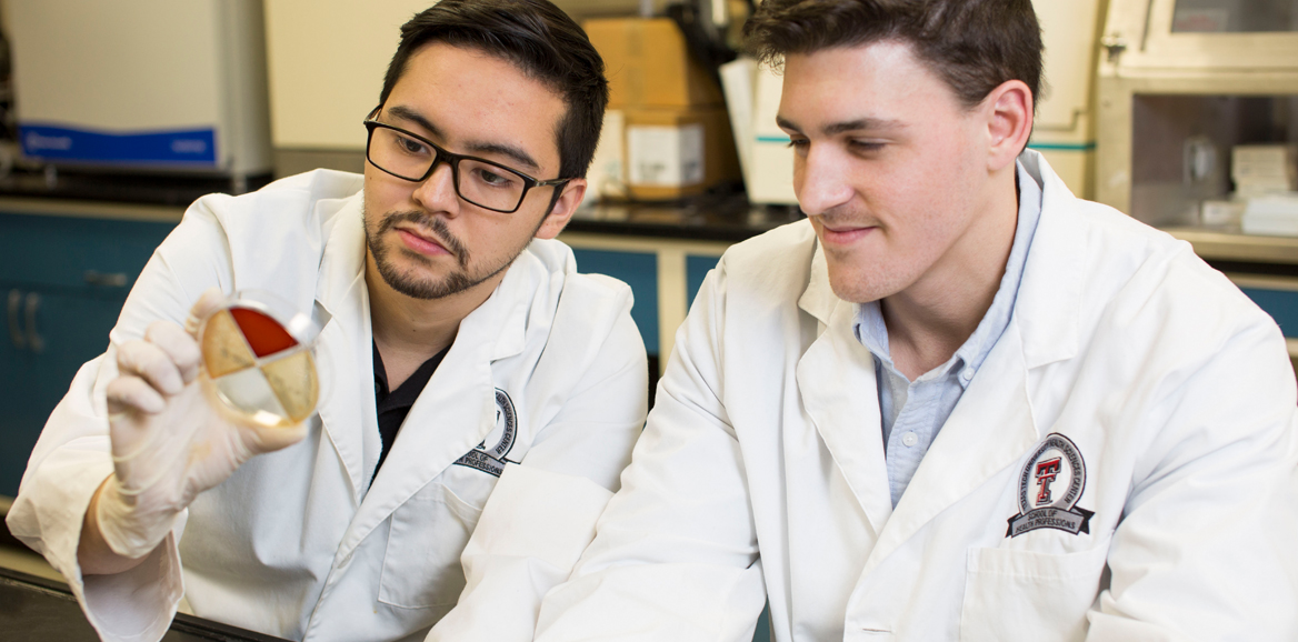 male students in lab setting