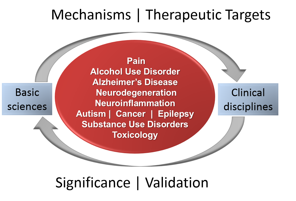 Diagram of workflow for CTNT