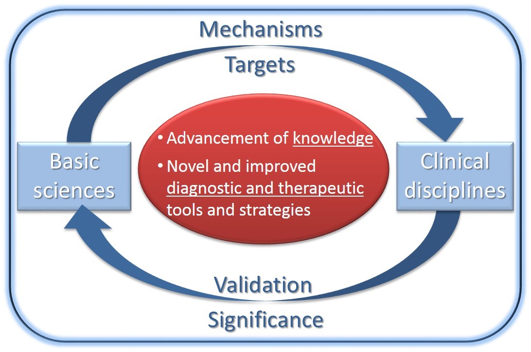 shows how the process of developing translational research may be developed: Mechanisms/Targets > Clinical Disciplines > Validation/Significance > Basic Sciences