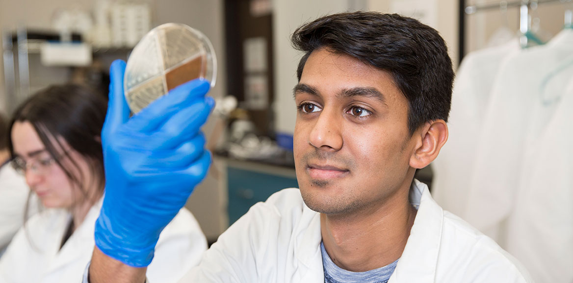 Student holding up and looking at a petri dish in a lab