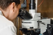 A researcher looks into a microscope in a laboratory.