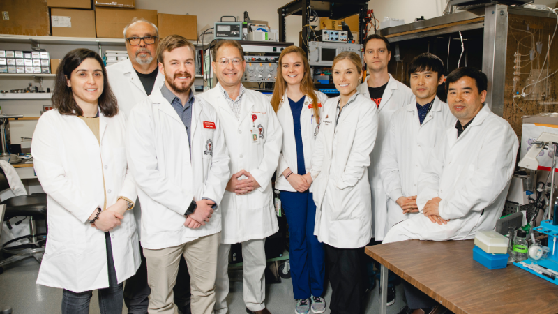 neugebauer lab
