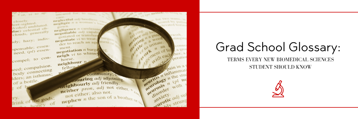 grad school glossary