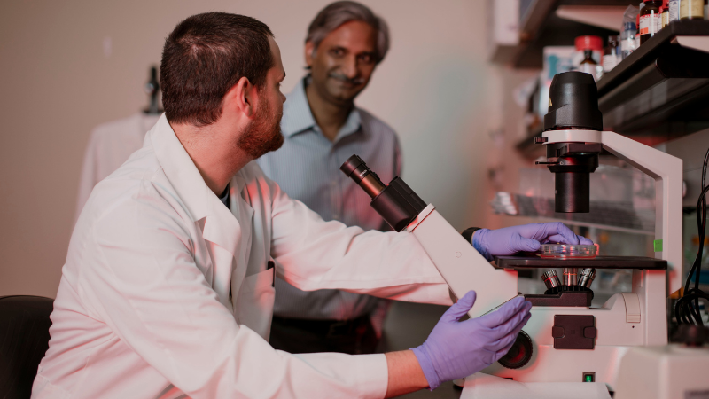 pharmaceutical sciences lab