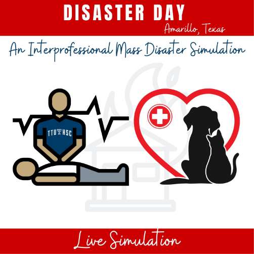 Disaster day immersion in Amarillo