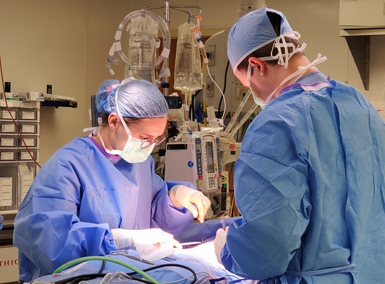 Trauma Surgeon picture