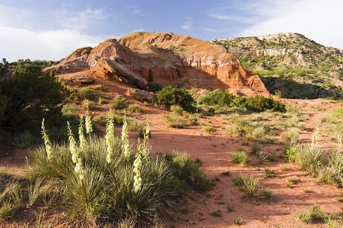 Hospital Medicine cover photo